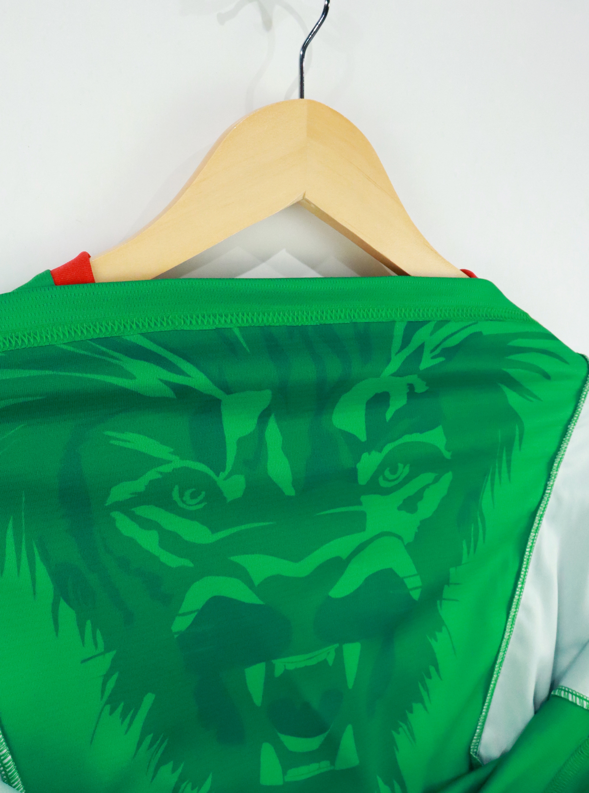 Camiseta 1ra Camerún 2022