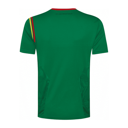 Camiseta Oficial Le Coq Sportif Camerún Primera Equipación - Soyvillamelon